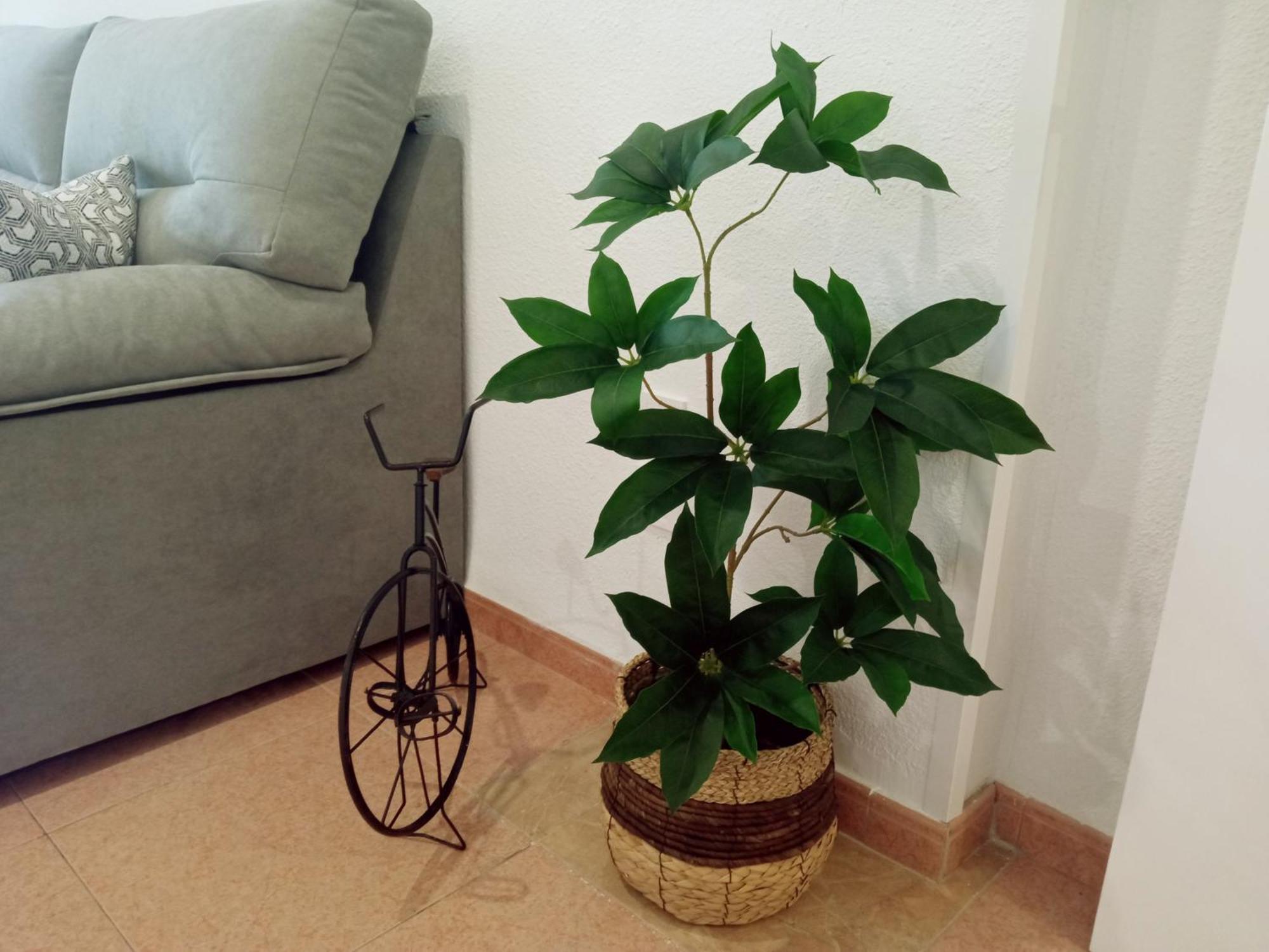 Apartamento Los Jardines De La Magdalena Córdoba Exterior foto